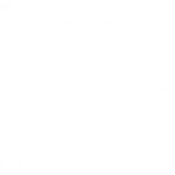 CENTRAL RING NETWORK ARCHITECTURE
