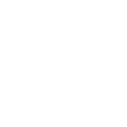 CENTRAL RING NETWORK ARCHITECTURE